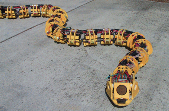 蟒蛇机器人图片